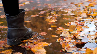 宽图片女人引导步进池路秋天色彩斑斓的叶子