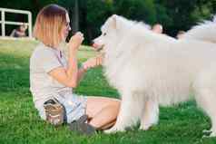 成人女人红色的头发戏剧中风狗萨莫耶德人品种白色毛茸茸的宠物公园情妇绿色草坪上有趣的