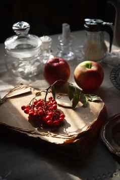 群罗文说谎矮小的书红色的苹果餐具茶时间灰色的乡村表格秋天早....概念