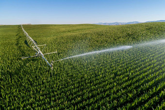 空中照片喷<strong>水灭火</strong>系统灌溉无人机