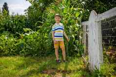 肖像可爱的孩子男孩场农村绿色植物玉米夏天一天生态自然农业夏天休闲村概念