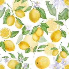 柠檬水果叶子花水彩无缝的模式