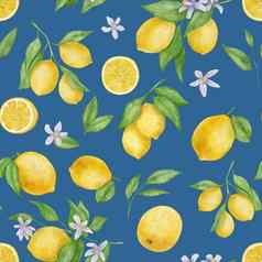 柠檬水果叶子花水彩无缝的模式蓝色的背景