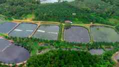 空中视图污水治疗植物工业废水治疗植物南部泰国污水农场