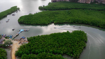 空中视图泰国传统的长尾钓鱼船码头喘气俄罗斯湾安达曼海泰国前视图钓鱼船浮动海红树林森林