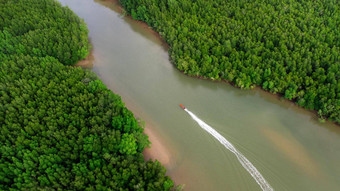 空中视图泰国传统的长尾船航行喘气俄罗斯湾肥沃的红树林森林安达曼海泰国