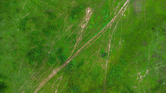 空中视图绿色牧场阳光明媚的一天美丽的绿色区域农业土地放牧多雨的季节北部泰国