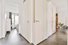 门口现代公寓白色墙木条镶花之地板地板上