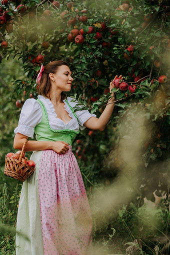 快乐女人长复古的衣服围裙篮子<strong>苹果花</strong>园有机村生活方式农业收获古董风格概念