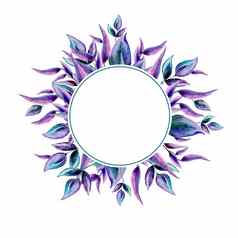 框架轮模板紫罗兰色的叶子的地方文本水彩插图