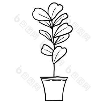 小提琴叶热带榕属植物能黑色的行大纲卡通风格着色书室内植物花植物中间体设计简单的极简主义设计植物夫人礼物