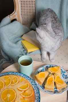 灰色的小猫坐在扶手椅橙色馅饼书舒适的共鸣