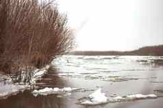 冻河霜冰雪灌木河畔真实的冷景观多云的阴天气