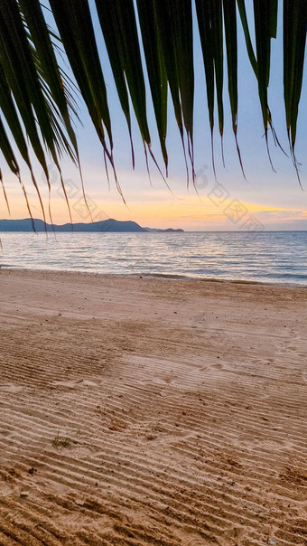 海滩芭堤雅日落泰国禁止安普尔海滩热带海滩棕榈树