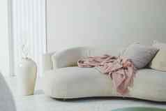 现代概念生活房间室内设计沙发枕头毯子大花瓶优雅的个人配件时尚的首页装饰生活房间白色沙发