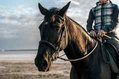 骑手教练走马种马自然河女人骑马奔驰太棒了秋天场景概念农场动物培训马赛车