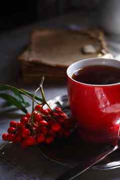 杯茶群红色的罗文金属板秋天早....茶概念