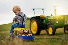 学习硬工作有趣的可爱的男孩运出塞动物玩具卡车农场
