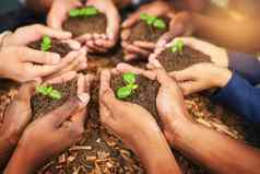 成功开始小种子集团人持有植物日益增长的土壤