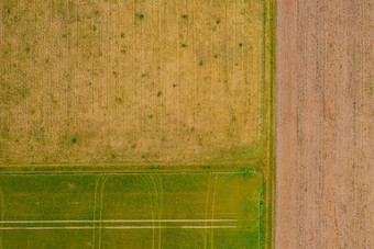 对称行模式跟踪字段梅多斯农业空中视图