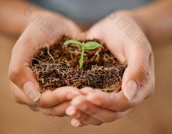 可持续发展的生态友好的手持有植物土壤<strong>保护环境</strong>生态系统特写镜头女年轻的发芽幼苗可持续发展的增长自然