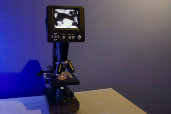 现代显微镜站atibody-stained组织样本图像屏幕