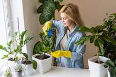 快乐的年轻的女人花店喷涂水室内植物花盆喷雾器快乐女园丁洒绿色叶子房子花喷雾瓶