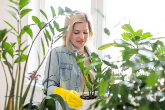 年轻的女商人喷雾植物花盆女人有爱心的房子植物女人采取护理植物首页喷涂植物纯水喷雾瓶