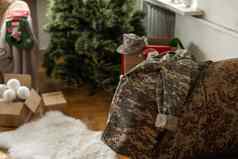 军事统一的圣诞节假期