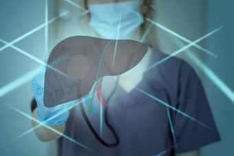 医生肝全息图检查测试结果虚拟接口分析数据肝疾病捐赠创新技术医学未来