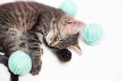 条纹猫蓝色的球棉衣,线程白色床上文章小猫文章宠物