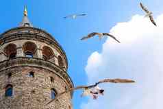 加拉塔塔伊斯坦布尔火鸡著名的旅游者目的地伊斯坦布尔海鸥