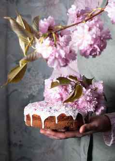 女人装修自制的复活节蛋糕粉红色的樱花花春天开花