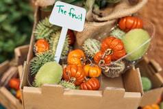 寻求吃纸板盒子水果蔬菜