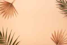 装饰热带棕榈干叶子米色背景复制空间