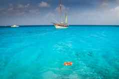阿鲁巴岛田园加勒比海滩阳光明媚的一天荷兰安的列斯群岛加勒比海