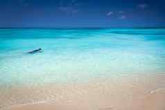 阿鲁巴岛田园加勒比海滩阳光明媚的一天荷兰安的列斯群岛加勒比海