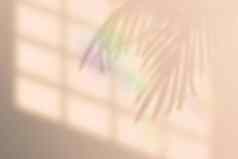 向量插图现实的热带影子覆盖效果彩虹镜头耀斑模糊透明的软光影子窗口棕榈叶子