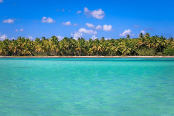 热带田园加勒比海滩棕榈树高峰卡纳多米尼加共和国