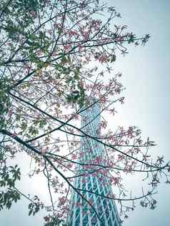 体系结构具有里程碑意义的广州塔位于十字路口广州城市中央轴珍珠河
