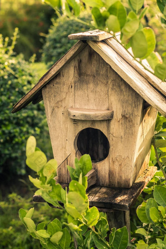 木户外花园鸟木嵌套房子巢首页花园花园自然的想法