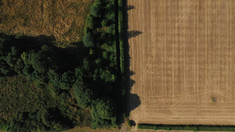 前空中视图绿色黄色的小麦场农场温室金作物牧场空中视图农业工作夏天干旱粮食<strong>危机</strong>自然收获生态
