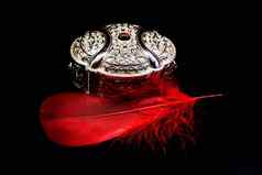 豪华的银珠宝盒子镶嵌珍贵的石头黑暗背景红色的羽毛反射