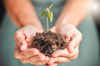 业务人持有种子植物土壤增长手环境意识可持续<strong>发展</strong>的<strong>发展</strong>生态友好的绿色<strong>公司</strong>有机小树增长日益增长的手地球一天