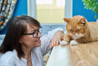 中间岁的女人会说话的姜宠物猫首页室内背景