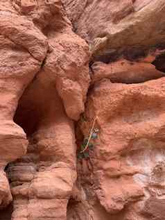 岩石沙漠埃及沙漠红色的山岩石埃及西奈半岛半岛