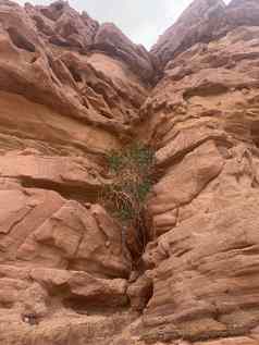 岩石沙漠埃及沙漠红色的山岩石埃及西奈半岛半岛