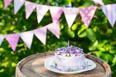 美丽的bento蛋糕紫色的数据仙女马蒂奥拉花绿色叶子蜡烛蛋糕背景粉红色的旗帜生日水平照片