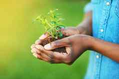 保护未来人持有植物日益增长的土壤