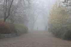 人走多雾的秋天公园走狗神秘的早....